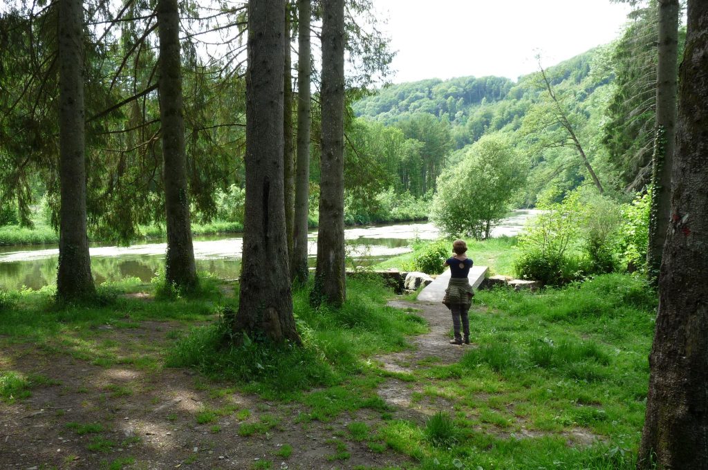 Balade guidée le long de la Liresse