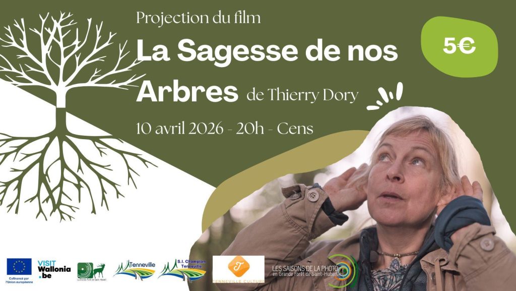 Projection du film : "La Sagesse de nos Arbres" de Thierry Dory