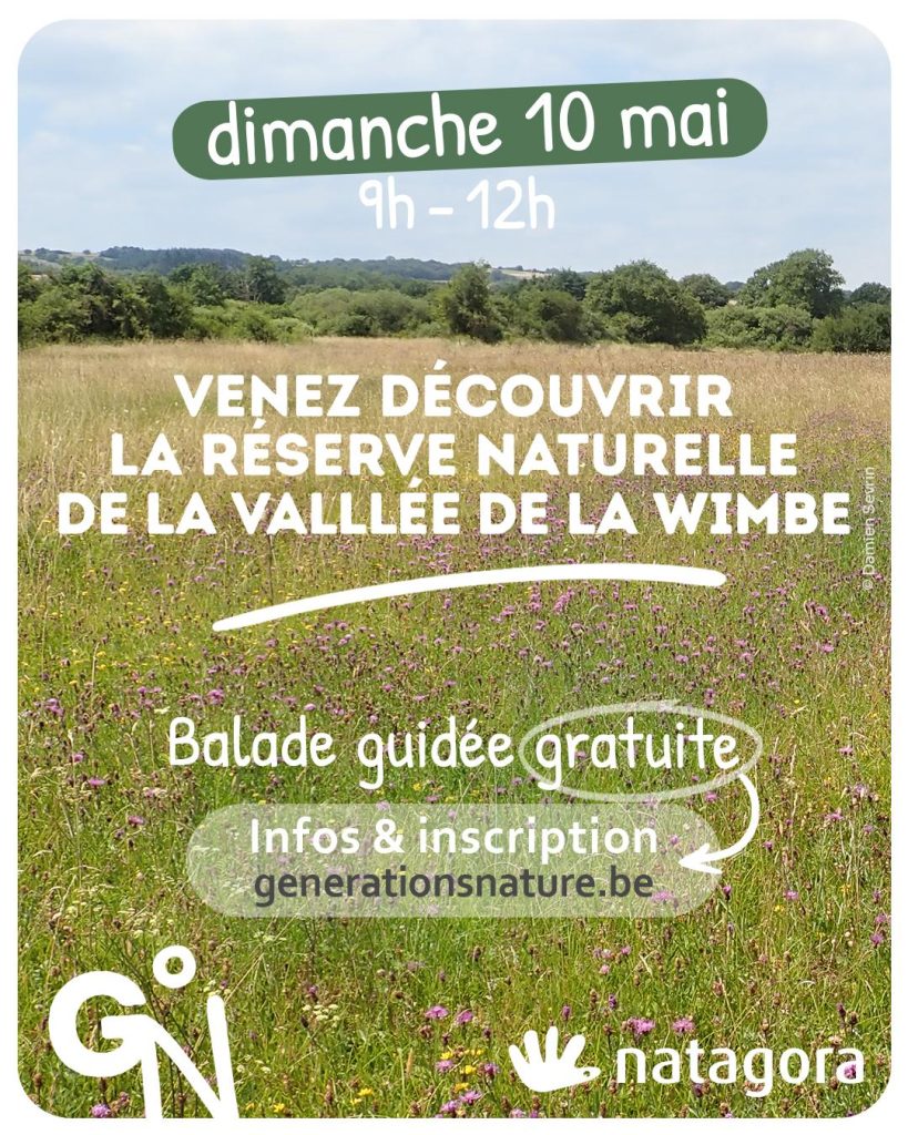 Découverte de la réserve naturelle de la vallée de la Wimbe
