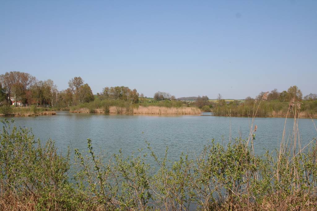 L'été aux Tourbières