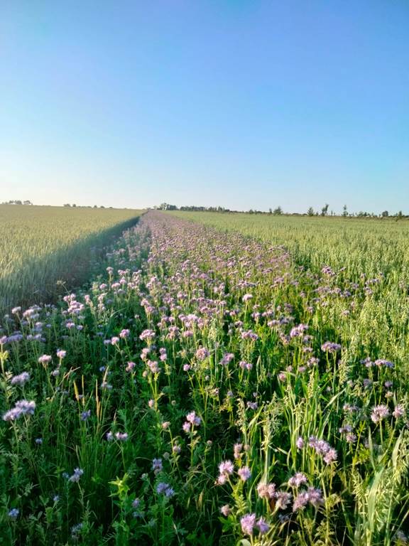 L'Oasis ardennaise