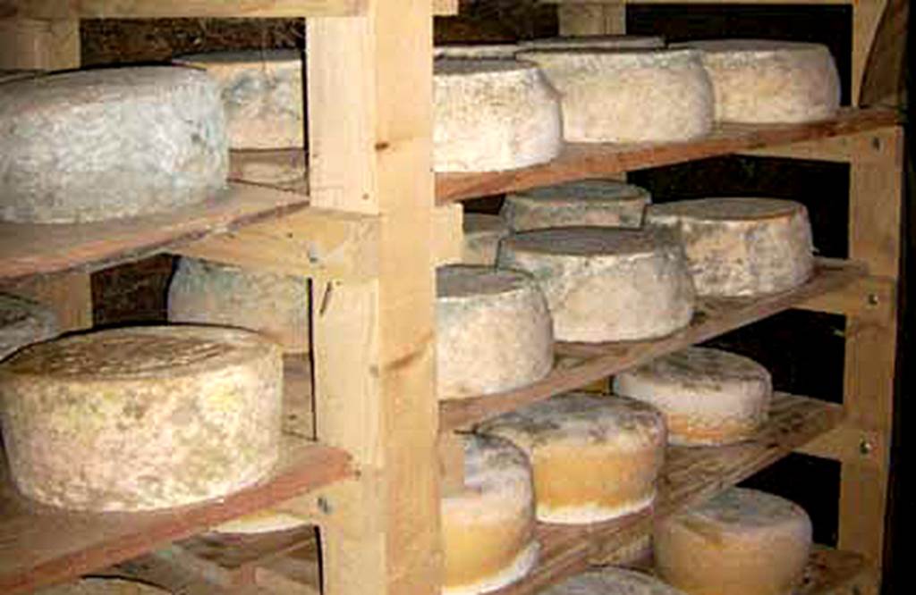 GAEC Sellier La Croix de Ferrière - Produits laitiers