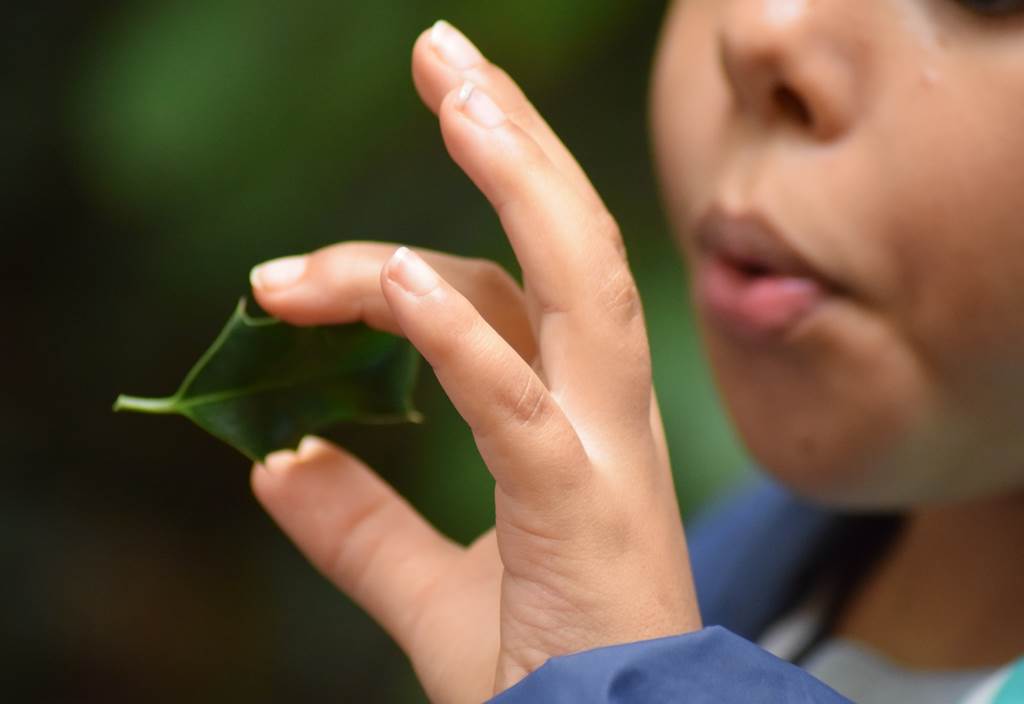 Atelier bricolage nature et musique verte