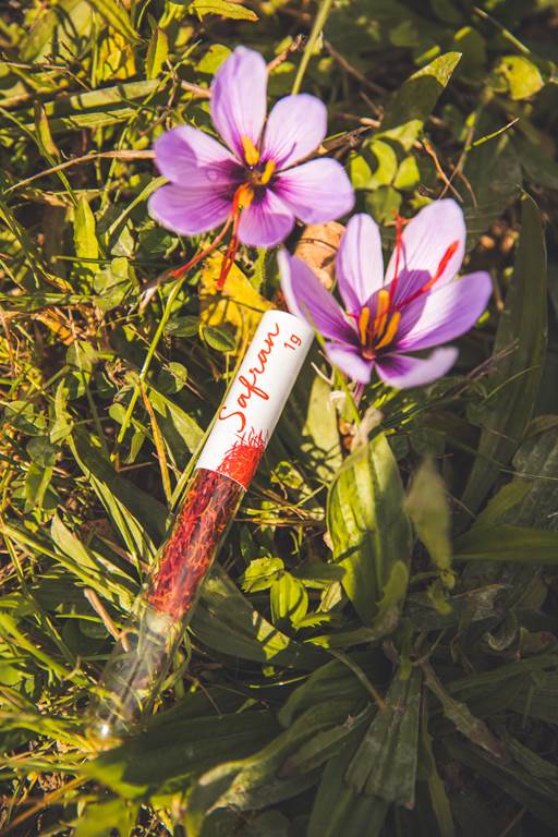 La Ferme du Pré Grandin
