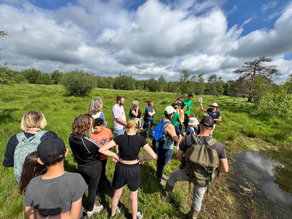 Sortie découverte "Marais des Hauts Buttés"