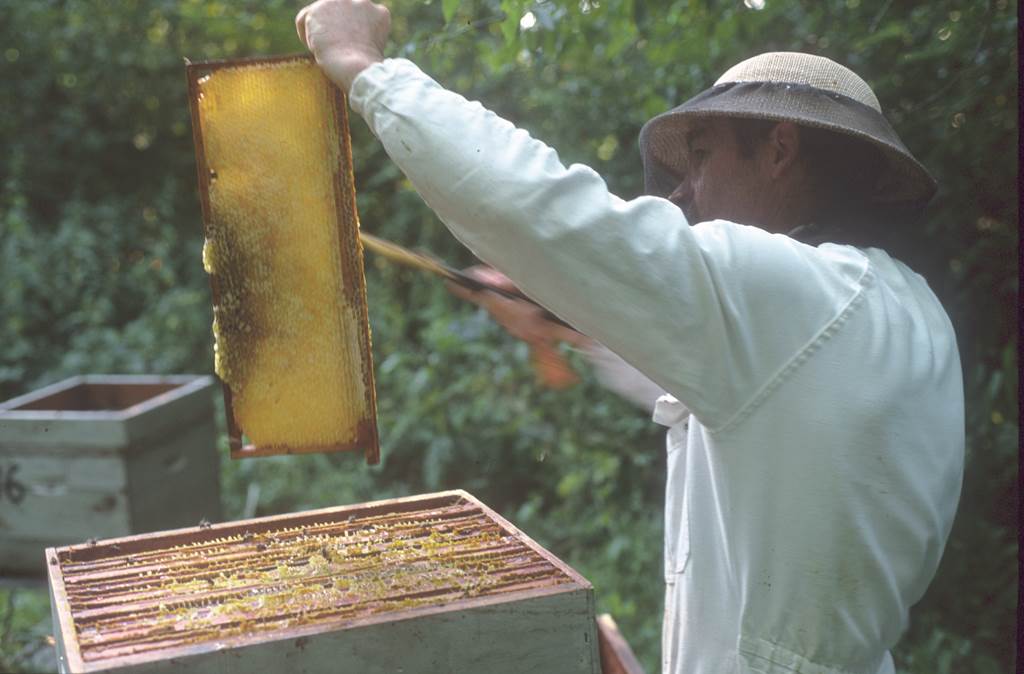 La Miellerie Jacques CARON