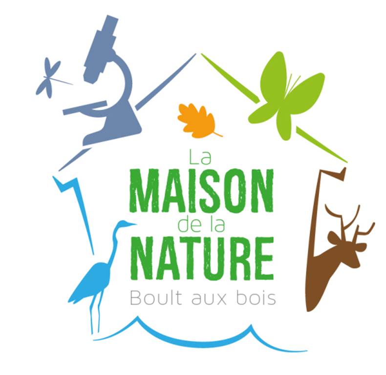 Construction d'abris à reptiles