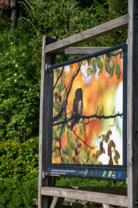 Les Saisons de la Photo - Bonance