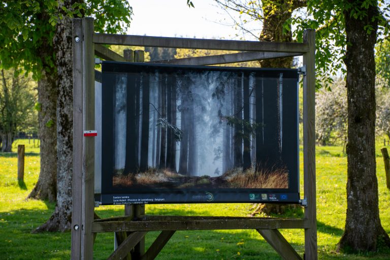 Saisons de la Photo - Chapelle de Lhommal