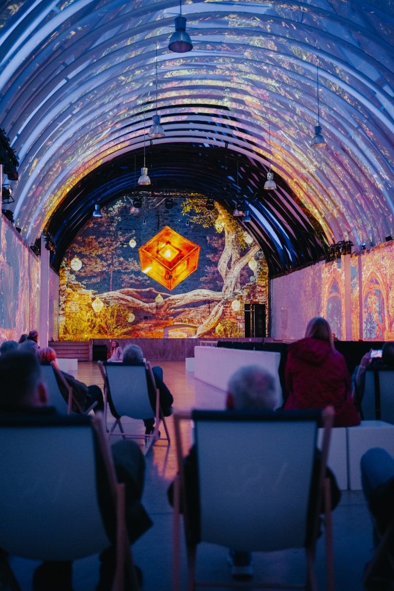 Experience immersive Cristal Vivant Projection avec du Public assis.