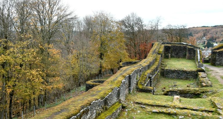 Ruines du château d'Herbeumont