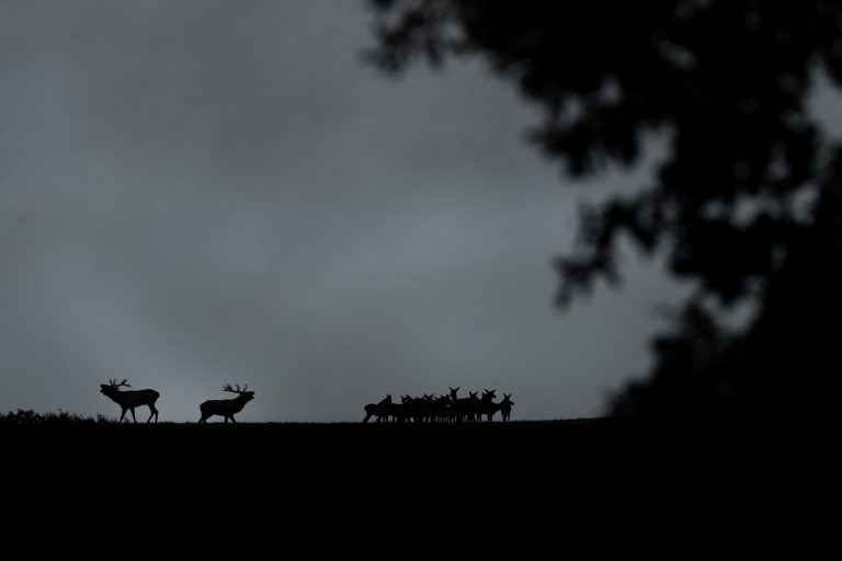 ©WBT - Martin Dellicour