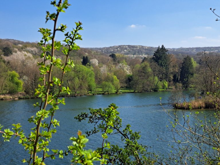 20250409_Vallée de la Meuse-(c)CVdB