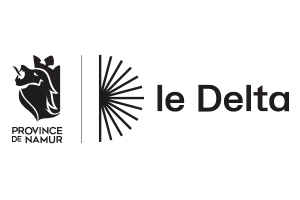 Logo du Delta.