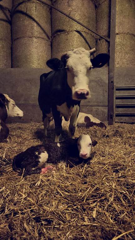 La Ferme de la Harnoterie