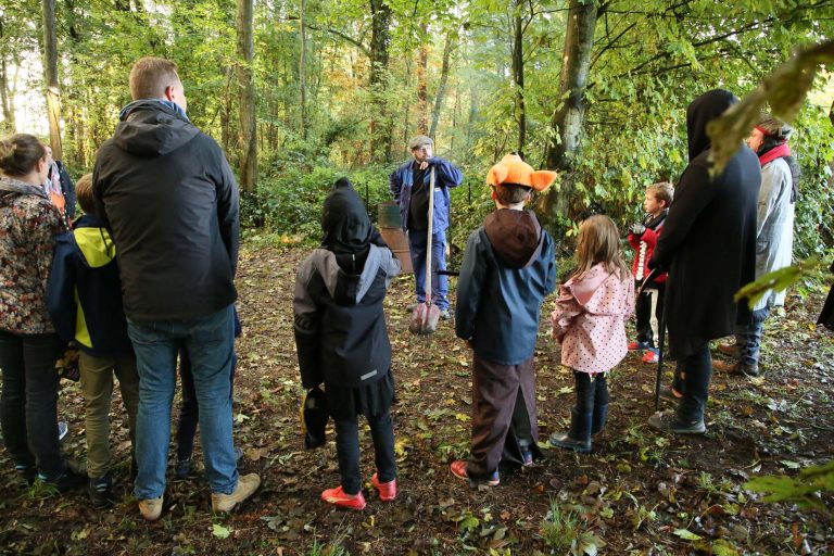 Groupe de spectateurs en forêt lors de la Nuit des sorcières.