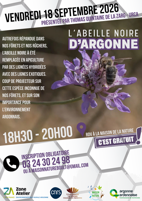 L'abeille noire d'Argonne