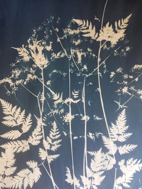 Atelier créatif Cyanotype
