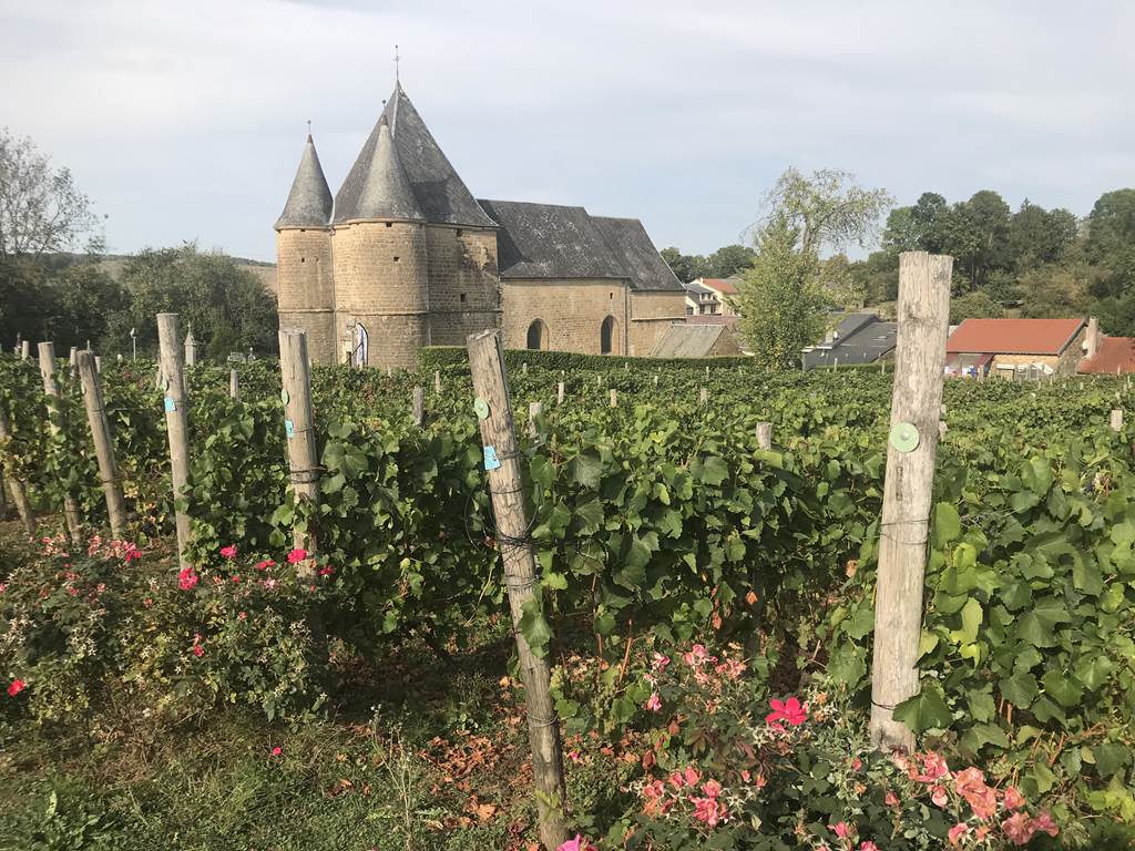 Visite de l'Eglise Fortifiée